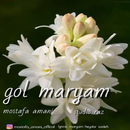 Mostafa Amani – Gol MarYam